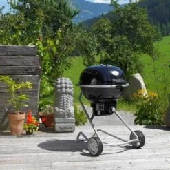 Barbecue Charbon Air F60 - Rosle* -Gril De Cuisine barbecue charbon rosle f60 4004293250063 6